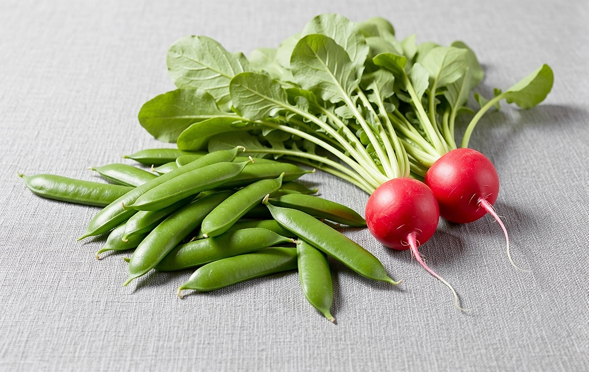 Frisches Frühlingsgemüse auf Leinen